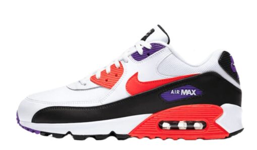 Air Max 90 Raptors Classic Kicks