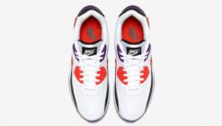 Air Max 90 Raptors Classic Kicks