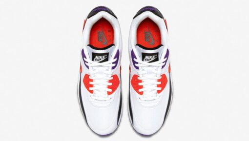 Air Max 90 Raptors Classic Kicks