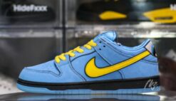 The Powerpuff Girls X Nike Dunk Low Pro SB QS Bubbles Signature Footwear