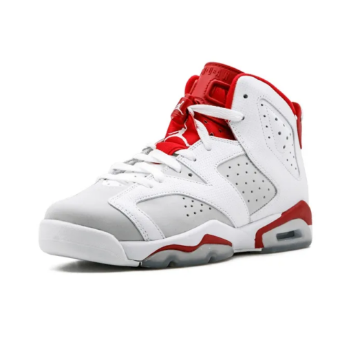 Air Jordan 6 Retro Alternate Hare Signature Footwear