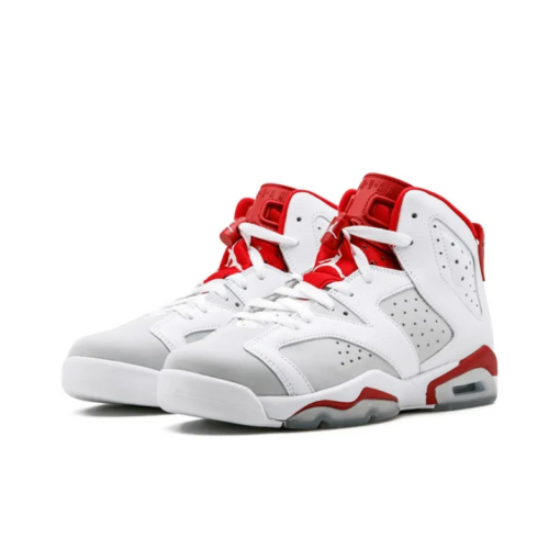 Air Jordan 6 Retro Alternate Hare Signature Footwear