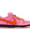 Nike Dunk Low Pro SB QS 'Blossom' Signature Footwear